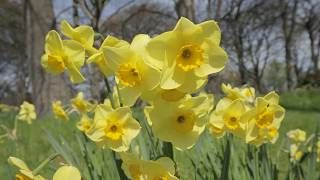 Cremorials With Integrity - Caring With A Personal Touch