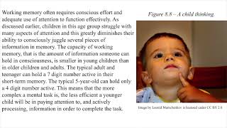 Ch. 8 Information Processing: Attention & Memory