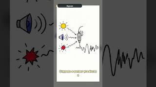 Applied DSP Chapter 1: Signals