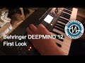 Behringer DeepMind 12 Poly  - first look at Studio Stekker