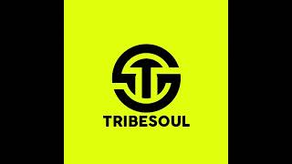 Tribesoul - Track 16 Selektive Sessions Mix (feat. Nkulee501 & Skroef28)