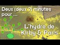 Deux (deux ?) minutes pour... l'hydre de Kirby & Paris