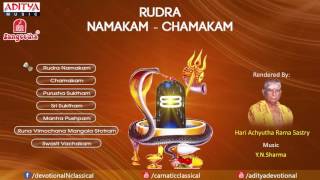 Rudra Namakam Chamakam by Y N  Sharma   YouTube