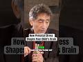 What Stress During Pregnancy Does to a Baby’s Brain| Gabor Maté #parenting #shorts #children