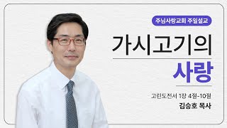 가시고기의 사랑, 고린도전서 1:4-10