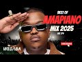 BEST OF AMAPIANO MIX 2025 VOL179 | DJ WEBABA