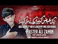 AIK ABBAS KO 9 LAKH NY MIL KAR MARA | MASTER ALI ZAMIN | SHAHADAT MOULA ABBAS AS| MUHARRAM NOHA 2024