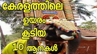 കേരളത്തിലെ ഉയരം കൂടിയ 10 ആനകള്‍ | Chirakkal Kalidhasan_Thechikkottukavu Ramachandran_Karnnan| Top10