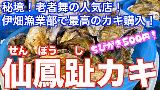 【北海道・釧路町】仙鳳趾の伊畑漁業部へ最高のカキを買いにプチドライブ旅！