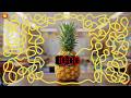 10 Minute Timer Bomb | ULTIMATE Pineapple EXPLOSION Countdown🍍💣