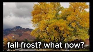 fall frost? now what?