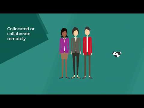 What 5 qualities make a good team member?