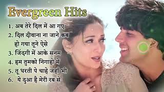 2000s-2010s Unforgettable Evergreen Bollywood Hindi Songs | Alka Yagnik | Salman Khan | Udit Narayan