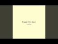 Fragile Echo Neon