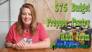 $75 Budget Prepper Pantry haul from Dollar Tree ~ Preparedness