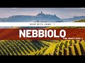 Grape Varieties - Nebbiolo Intermediate Version ideal for WSET Level 2 Wine