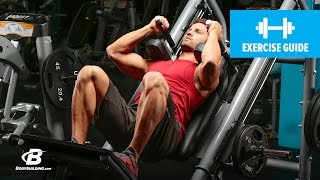 Hack Squat | Exercise Guide
