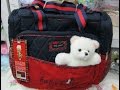 Jual Tas Bayi Lucu Murah Harga Grosir - www.bunglonbabyshop.com - 0815 7873 9133