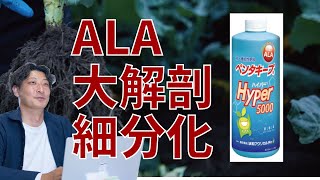 ALAと植物ホルモンはきっと関係するんだとおもう。農業収益UPs‼　LaPlaS　leaf-energy