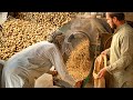 Dry Roasted Peanuts - Automatic Peanut Roasting | Making Peanut's Perfectly | Pakistan Street Food