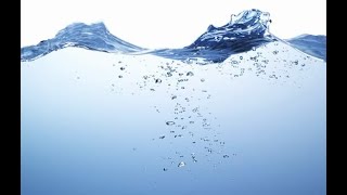 Finding the most value for Plumber in Tamarac Fl
