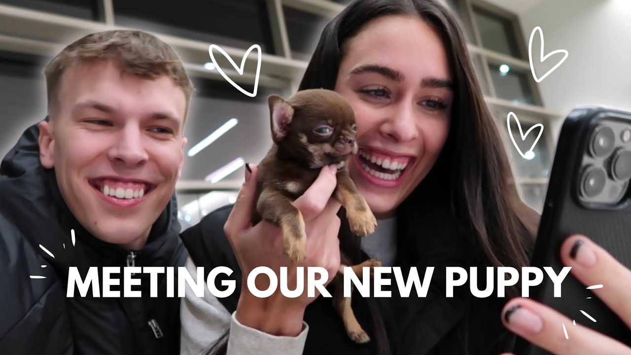 Meeting Our New Puppy Youtube