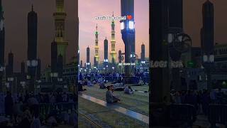 Most Peaceful Moments In Masjid E Nabawi Ma Sha Allah ❤️ Madinah 💚 #masjidnabawi #islam #shortvideo