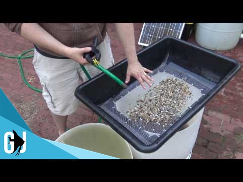 #481: How to Quickly Wash Aquarium Pea Gravel - Tank Tip #481: How to Quickly Wash Aquarium Pea Gravel - Tank Tip