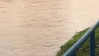 Banjir di kluang..Johor 2/1/2021/#short