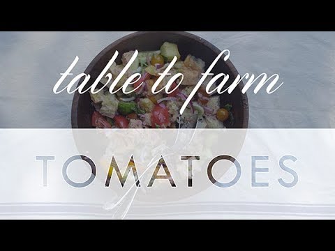 Table to Farm Tomatoes Table to Farm Tomatoes