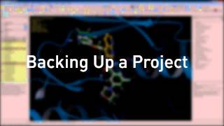 Maestro (Quick Start Guide) - Working with Maestro Projects