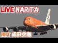 🔴LIVE at NARITA International Airport Plane Spotting　2024.10.03 成田空港ライブカメラ 成田空港　NRT/RJAA