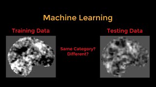 Overview of MVPA Tutorial