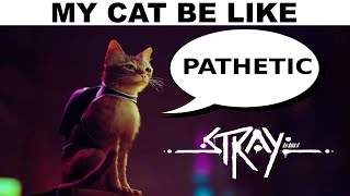 Stray Game Memes | Funny Cat Memes