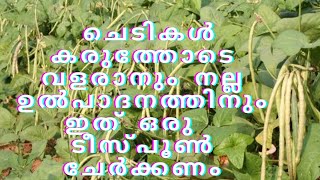 ചെടികൾ കരുത്തോടെ വളരാനും നല്ല ഉൽപാദനത്തിനും ഇത് ഒരു ടീസ്പൂൺ ചേർക്കണം # namukkumkrishicheyyam