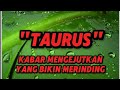 Ramalan Zodiak Taurus Hari Ini‼️Kabar Mengejutkan Yang Bikin Kamu Merinding