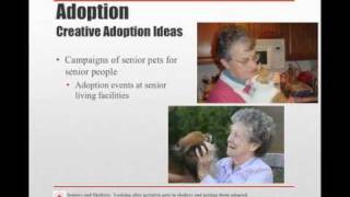 Seniors & Shelters - Geriatric Pets and Getting Them Adopted - Full video - conference recording