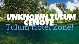 CENOTES | EPIC 3 Tulum Cenotes on Tulum Hotel Zone!