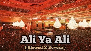 ALI YA ALI (slowed X reverb) lofi mix | Rahat fateh ali khan | Ziyarat-e-Karbala ❤️ | lotsofeditx