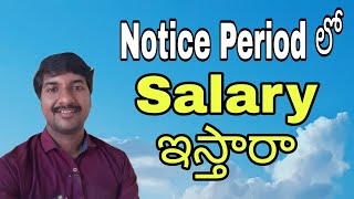 Can I Get Salary During  Notice Period  (Telugu)