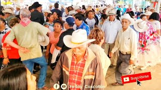 LOS QUE NUNCA FALTAN "EL SON SOLITO Y EL CAIMÁN" EN XILITLA, S.L.P. MÉXICO.