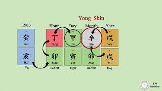 [Bazi Basic: 4] 3 Major Factors in Reading Bazi. (Part 2. Yong Shin - strong chart)