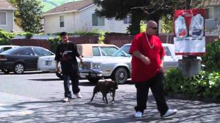 MUSIC VIDEO   STAYS ON THE BLOCK FT  LIL CONER & BIG OSO LOC 720p