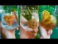 cute cocktail garnish ideas x 3