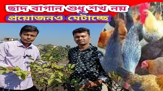 ২৬-বসুরহাট খলিল ব্রাদার্সের ছাদ কৃষি /বাংলার কৃষক ও কৃষি