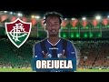 Jefferson Orejuela, Lances do Novo Reforço do Fluminense