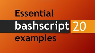 20 essential Bash script examples