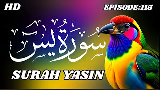 surah yasin surat yaseen beautiful recitation of quran  yasen #SurahYaseenCompleteFromQuran 115