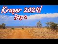 Kruger National Park, South Africa – Day 2! S1 – Ep 542