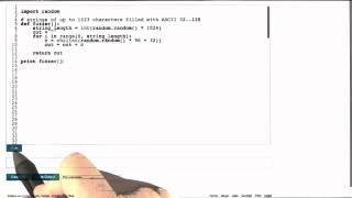 Fuzz Inputs - Software Debugging